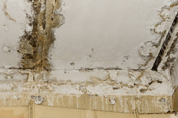  Highpoint, OH Water damage restoration Pros